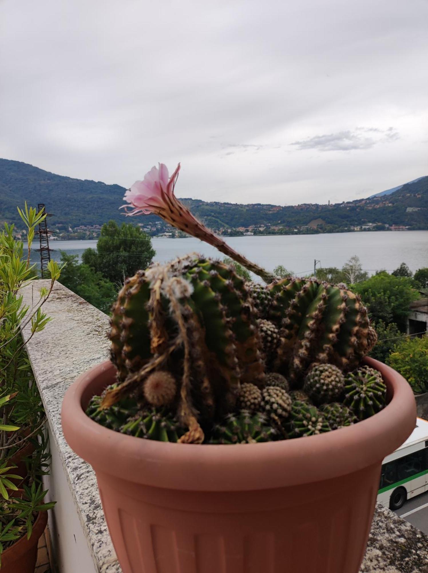 Terrazzo Sul Lago Lecco Exterior photo
